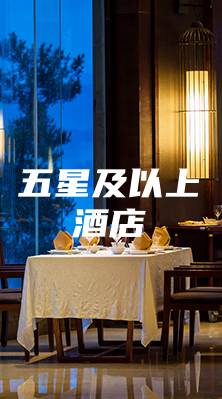 五星及以上酒店